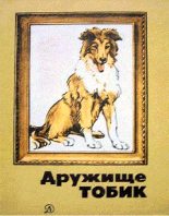 Книга - Владимир Дмитриевич Дудинцев - Бешеный мальчишка (fb2) читать без регистрации