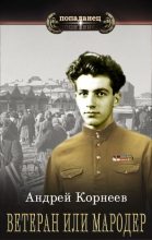 Книга - Андрей Корнеев - Ветеран или Мародер (fb2) читать без регистрации