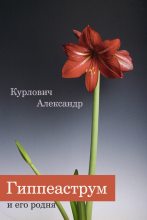 Книга - Александр  Курлович - Гиппеаструм и его родня (fb2) читать без регистрации