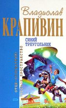Книга - Владислав Петрович Крапивин - Синий треугольник (fb2) читать без регистрации
