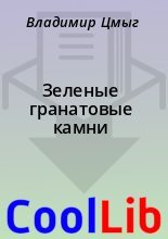 Книга - Владимир  Цмыг - Зеленые гранатовые камни (fb2) читать без регистрации