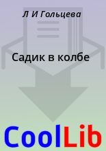Книга - Л. И. Гольцева - Садик в колбе (fb2) читать без регистрации