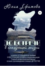 Книга - Юлия  Ефимова - До встречи в следующей жизни (fb2) читать без регистрации