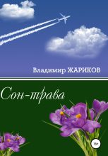 Книга - Владимир Андреевич Жариков - Сон-трава (fb2) читать без регистрации