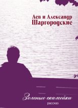 Книга - Александр и Лев  Шаргородские - Зеленые скамейки (fb2) читать без регистрации