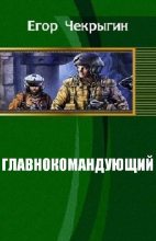 Книга - Егор Дмитриевич Чекрыгин - Главнокомандующий (fb2) читать без регистрации
