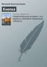 Книга - Евгений Михайлович Константинов - Кнопка (fb2) читать без регистрации