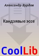 Книга - Александр  Вурдов - Кандзявые эссе (fb2) читать без регистрации