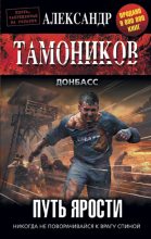 Книга - Александр Александрович Тамоников - Путь ярости (fb2) читать без регистрации