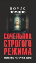 Книга - Борис Юрьевич Земцов - Сочельник строгого режима. Тюремно-лагерные были (fb2) читать без регистрации