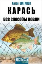 Книга - Антон  Шаганов - Карась. Все способы ловли (fb2) читать без регистрации