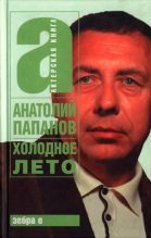Книга - Анатолий Дмитриевич Папанов - Холодное лето (fb2) читать без регистрации
