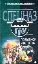 Книга - Михаил Петрович Нестеров - Позывной «Пантера» (fb2) читать без регистрации