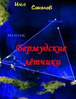 Книга - Илья Андреевич Соколов - Бермудские летчики (fb2) читать без регистрации