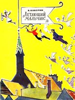 Книга - Вениамин Александрович Каверин - Летающий мальчик (fb2) читать без регистрации