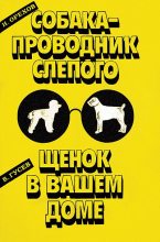 Книга - В.  Гусев - Щенок в вашем доме (fb2) читать без регистрации