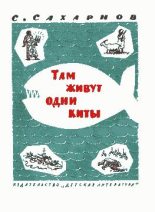 Книга - Святослав Владимирович Сахарнов - Там живут одни киты (fb2) читать без регистрации