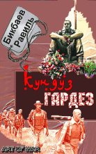 Книга - Равиль Нагимович Бикбаев - Кундуз-Гардез. Бригада уходит в горы (fb2) читать без регистрации