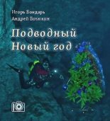 Книга - Игорь  Бондарь - Подводный новый год (pdf) читать без регистрации