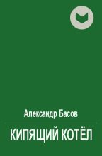 Книга - Александр Юрьевич Басов - Кипящий котёл (fb2) читать без регистрации