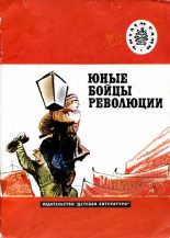 Книга - Петр Андреевич Павленко - Юные бойцы революции (fb2) читать без регистрации