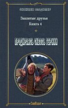 Книга - Владимир  Снежкин - Продираясь сквозь тернии (fb2) читать без регистрации