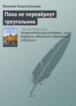 Книга - Евгений Михайлович Константинов - Пока не перевёрнут треугольник (fb2) читать без регистрации