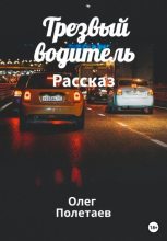 Книга - Олег Юрьевич Полетаев - Трезвый водитель (fb2) читать без регистрации