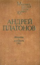 Книга - Андрей  Платонов - В сторону заката солнца (fb2) читать без регистрации