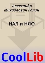 Книга - Александр Михайлович Галин - НАЛ и НЛО (fb2) читать без регистрации