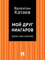Книга - Валентин Петрович Катаев - Мой друг Ниагаров (fb2) читать без регистрации