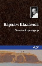 Книга - Варлам Тихонович Шаламов - Зеленый прокурор (fb2) читать без регистрации