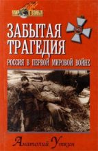 Книга - Анатолий  Уткин - Забытая трагедия. Россия в первой мировой войне (fb2) читать без регистрации