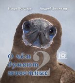 Книга - Игорь  Бондарь - О чем думают животные 2 (pdf) читать без регистрации