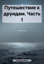 Книга - Илья  Алигор - Путешествие к друидам. Часть 1 (fb2) читать без регистрации