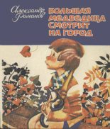 Книга - Александр Александрович Романов - Большая медведица смотрит на город (fb2) читать без регистрации