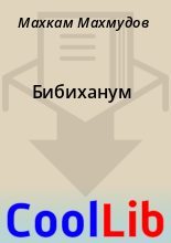 Книга - Махкам  Махмудов - Бибиханум (fb2) читать без регистрации