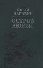 Книга - Юрий Маркович Нагибин - Когда погас фейерверк (fb2) читать без регистрации