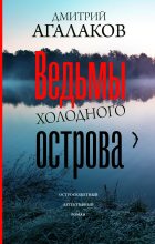 Книга - Дмитрий Валентинович Агалаков - Ведьмы Холодного острова (fb2) читать без регистрации