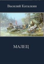 Книга - Василий  Каталкин - Малец (fb2) читать без регистрации