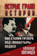 Книга - Александр Григорьевич Звягинцев - Как Сталин Гитлера под «Монастырь» подвел (fb2) читать без регистрации