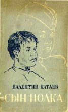 Книга - Валентин Петрович Катаев - Сын полка (pdf) читать без регистрации