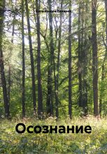 Книга - Валерия  Колыванова - Осознание (fb2) читать без регистрации