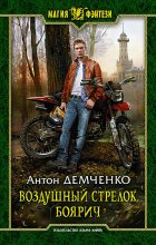 Книга - Антон Витальевич Демченко - Воздушный стрелок. Боярич (fb2) читать без регистрации