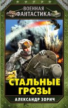 Книга - Александр  Зорич - Стальные грозы (fb2) читать без регистрации