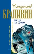 Книга - Владислав Петрович Крапивин - Звёзды под дождём (fb2) читать без регистрации