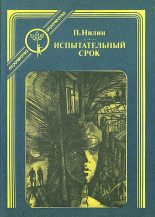 Книга - Павел Филиппович Нилин - Испытательный срок (fb2) читать без регистрации