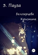 Книга - Кристина Андреевна Белозерцева - Пауза (fb2) читать без регистрации