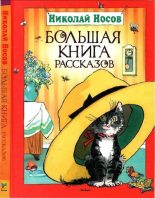 Книга - Николай Николаевич Носов - Большая книга рассказов (pdf) читать без регистрации