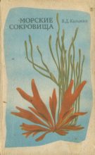 Книга - Виктор Дмитриевич Казьмин - Морские сокровища (djvu) читать без регистрации